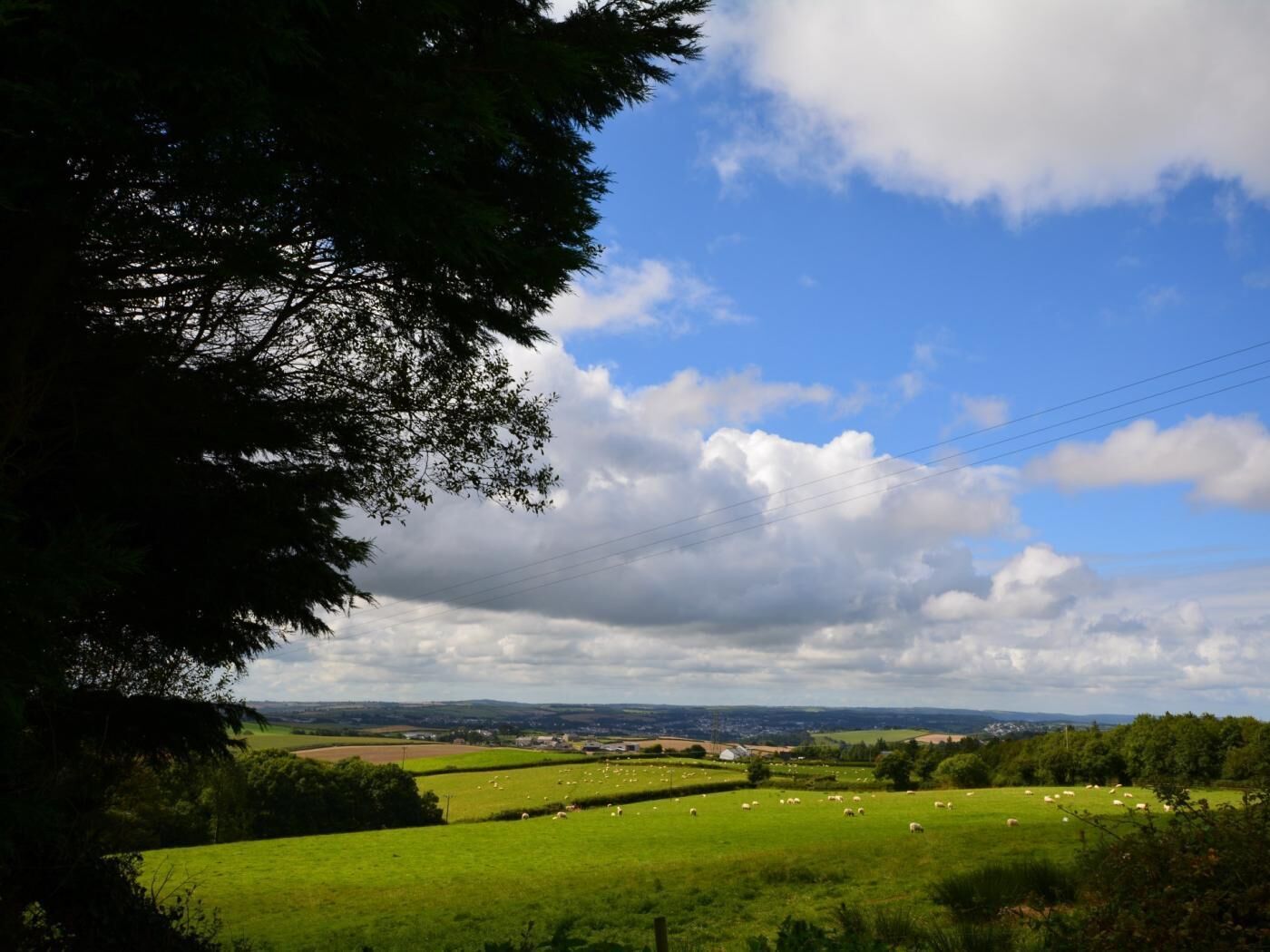 Un paysage rural avec des champs verdoyants, des arbres dispersés et un ciel partiellement nuageux.