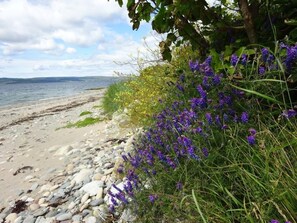 Ein Strand mit Kieselsteinen und violetten Blumen.