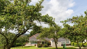 Une propriété résidentielle dotée d’une pelouse bien entretenue, d’une maison avec un toit en pente et d’un grand arbre en premier plan.