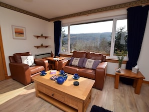Fernseher, Kamin