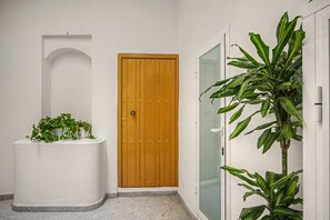 A hallway with a wooden door, a white planter with green plants, and a tall green plant against a wall. - Apartment 'Suite Plaza Conil' with Sea View, Wi-Fi and Air Conditioning (Conil de la Frontera)