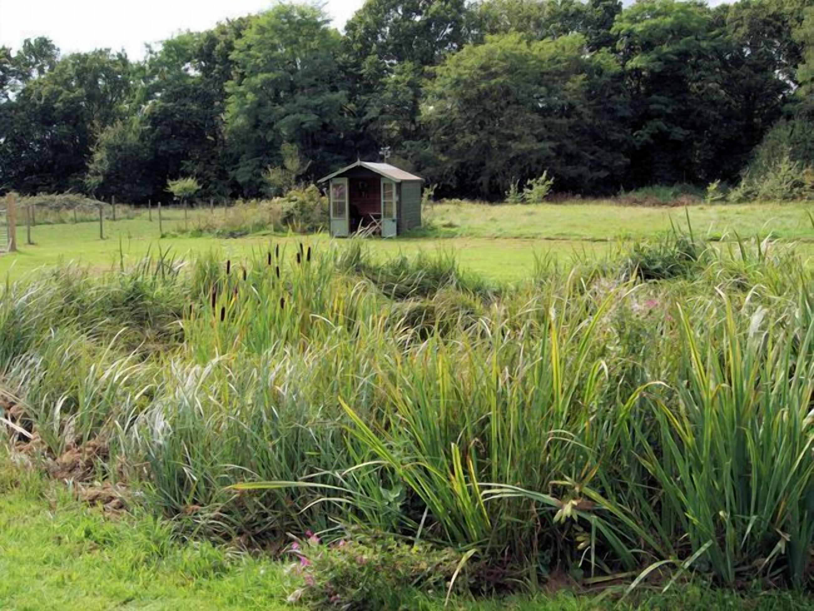 A small, single-story structure with a sloped roof, surrounded by tall grasses and a dense tree line in the background.