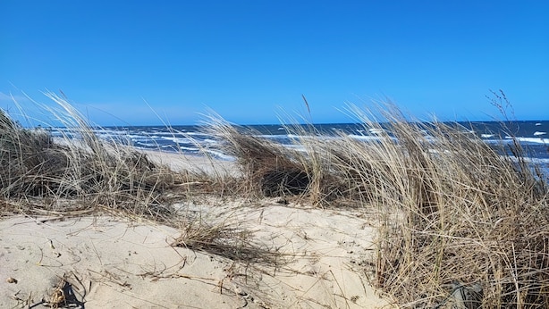 Une plage avec des dunes de sable et des vagues de l’océan.