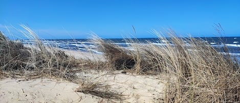 Ubicación cercana a la playa y tumbonas