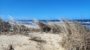 A beach with sand dunes and ocean waves.