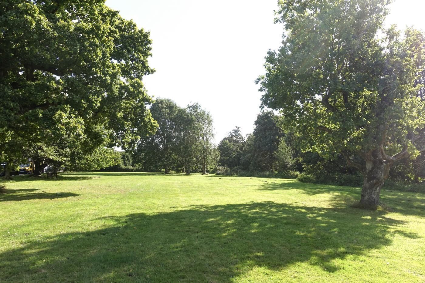 A grassy park with trees and a clear sky.