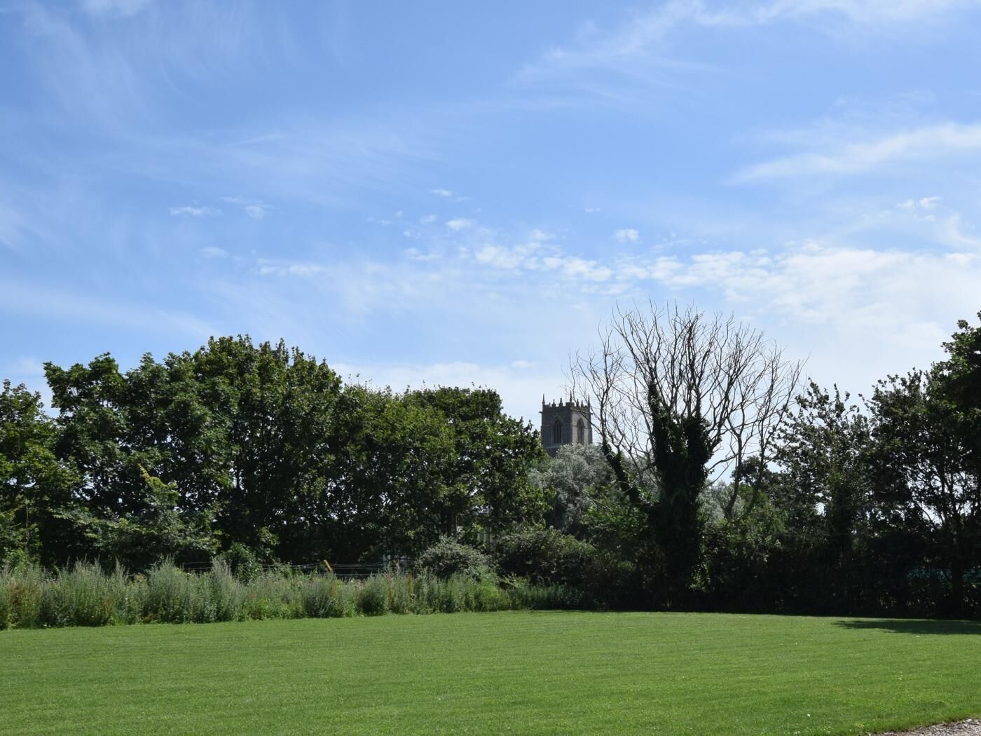 Un campo cubierto de hierba con árboles y un edificio a lo lejos.