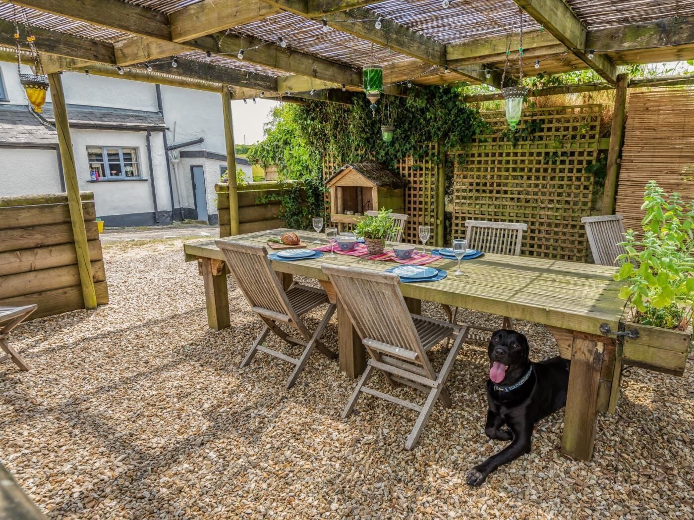 En overdækket terrasse med et træbord dækket til spisning, omgivet af stole, og en sort hund der sidder på jorden.