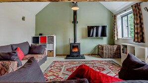 A cozy living room with a fireplace, a sofa, a TV, and a bookshelf. - 1 Bed in Lechlade (oc-31912) (Lechlade)