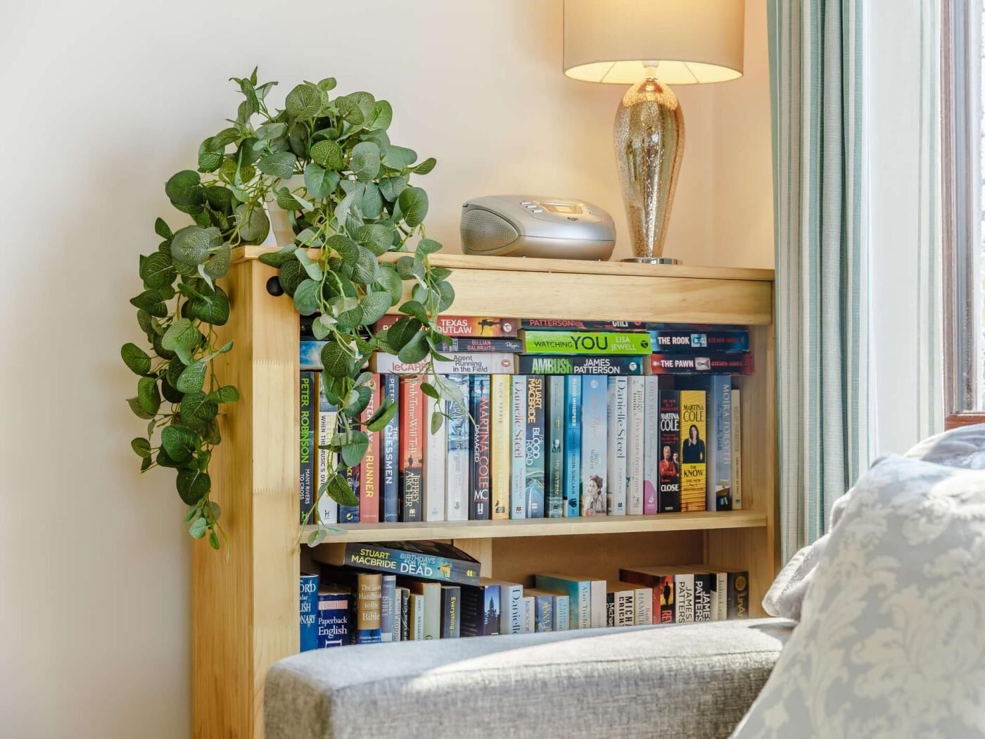 A bookshelf with various books, a lamp, and a potted plant.