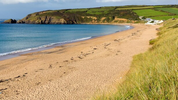 Une plage côtière avec un rivage sablonneux, des zones herbeuses et une falaise en arrière-plan.