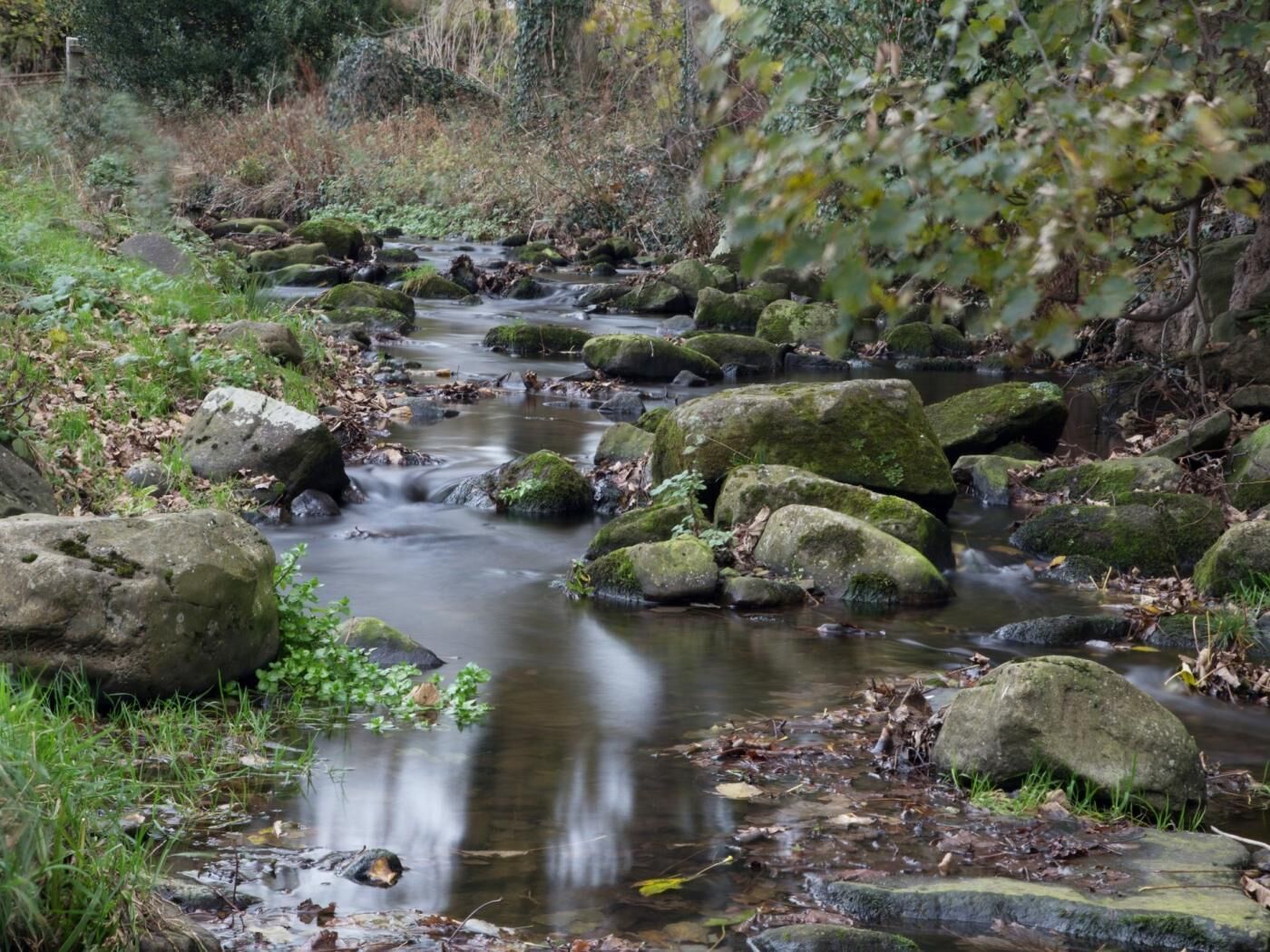 Um riacho natural com pedras e vegetação.