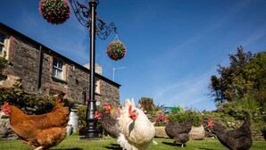 Un espace verdoyant avec des poules, un bâtiment en pierre et des paniers de fleurs suspendus.