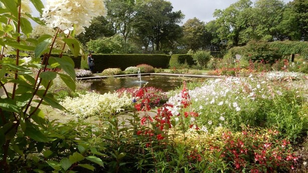 Un giardino con uno stagno, fiori diversi e siepi curate.
