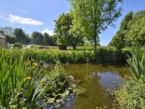 Property grounds - 1 Bed in Lyme Regis (oc-40483) (Lyme Regis)