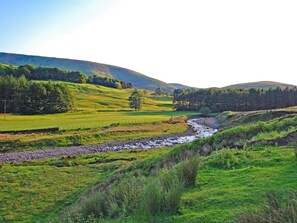 Ein Fluss fließt durch ein grünes Tal, im Hintergrund erheben sich Hügel.