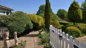 Un jardin bien entretenu, avec des haies taillées avec soin, un grand conifère et une clôture blanche en bois.