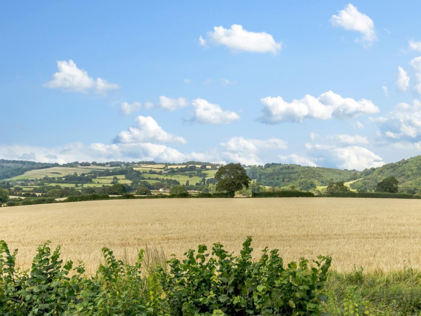 A wide field with a clear sky and scattered clouds.