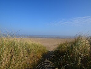 Ein Strand mit Dünen und Gras im Vordergrund.