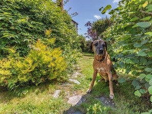 Property grounds - 1 Bed in Okehampton (oc-42982) (Petrockstow)