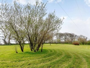 A grassy field with trees and a clear sky.