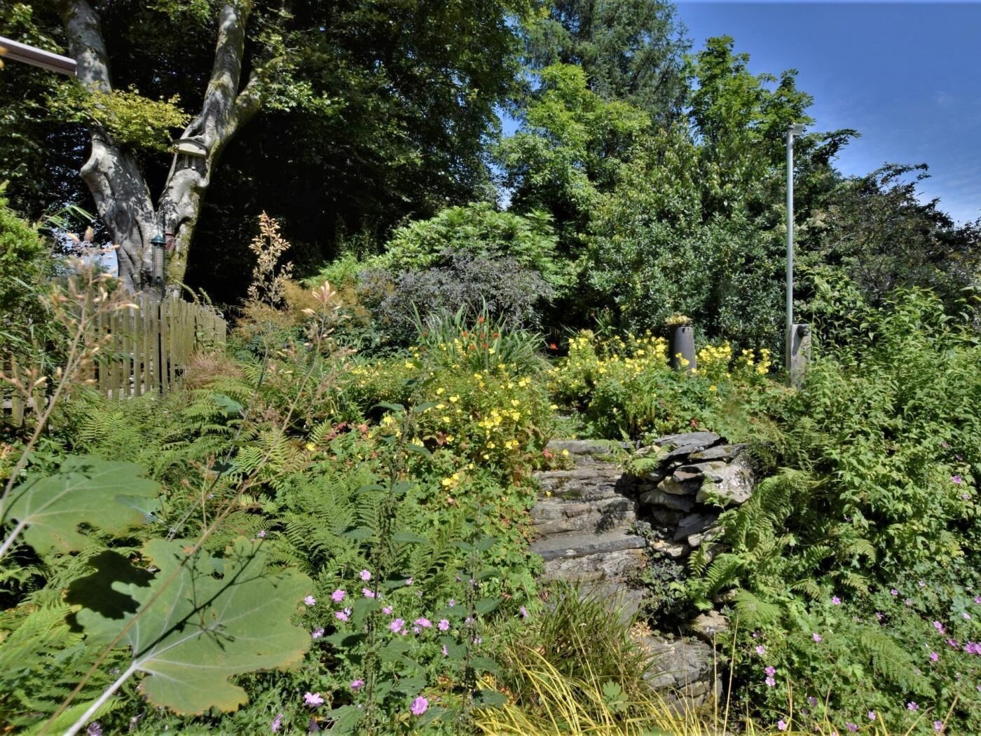 A garden with a stone wall, various plants, and a wooden fence.