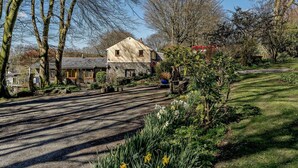 A stone house with a sloped roof, a gravel driveway, and a garden with daffodils. - 2 Bed in Lampeter (oc-43293) (Tregaron)