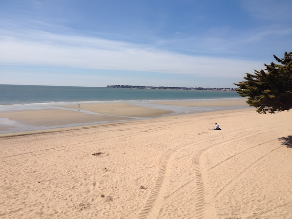A beach with footprints, a clear sky, and a distant shoreline.