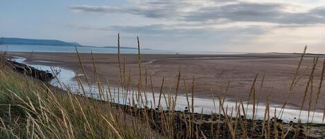 A coastal landscape with a beach, grassy dunes, and a distant shoreline.