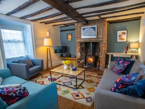 TV, fireplace - 3 Bed in King's Lynn (oc-43950) (Docking)