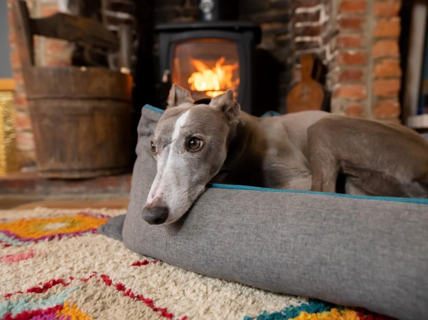 Un chien se repose sur un coussin gris pour animaux de compagnie, devant une cheminée où l’on voit des flammes.