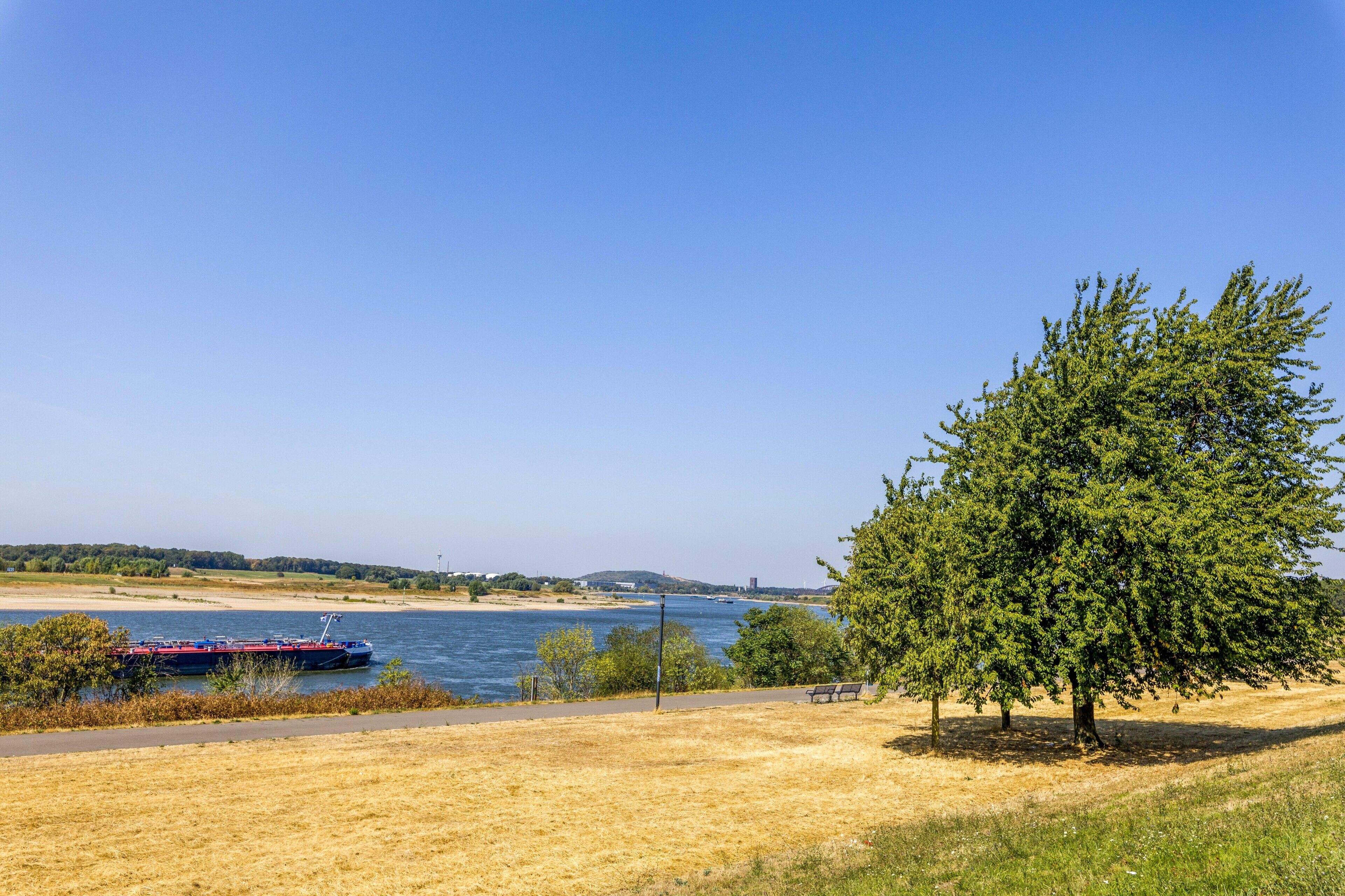 Ein Fluss mit einem Frachtschiff, eine Wiese mit einer Bank und Bäume.