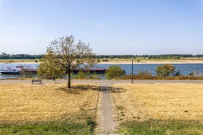 A riverside park with a walking path, benches, and a tree.