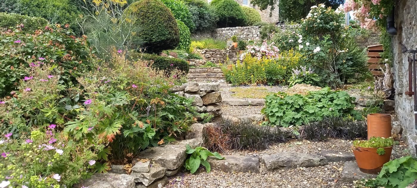 A garden with a stone pathway leading to a rustic building.