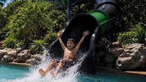 Una persona resbalando por un tobogán acuático hacia una piscina rodeada de rocas y vegetación.