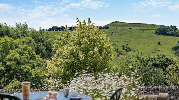 Ein Tisch draußen mit Blick auf einen grünen Hügel und Bäume.