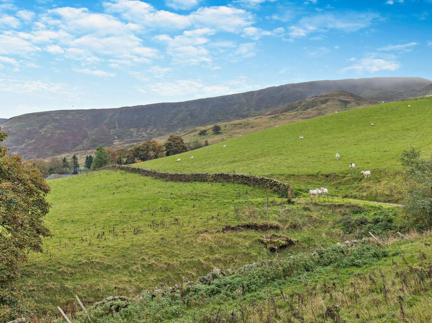 A rural landscape with rolling hills, a stone wall, and grazing sheep.