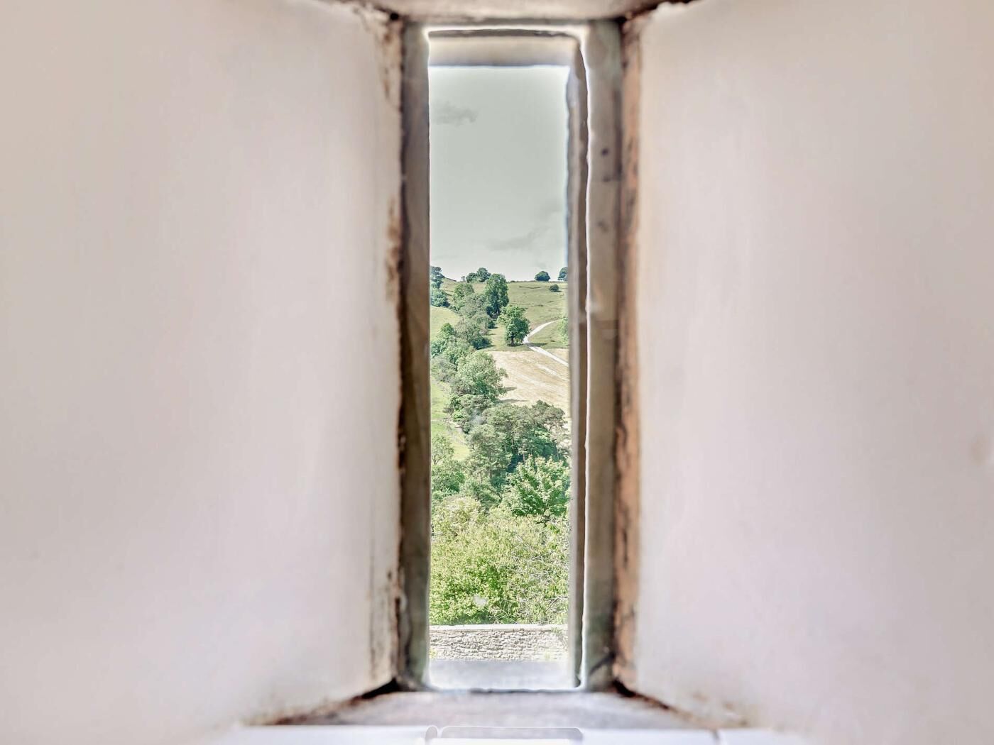 A narrow window with a view of a green landscape.