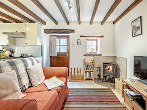 Fernseher, Kamin