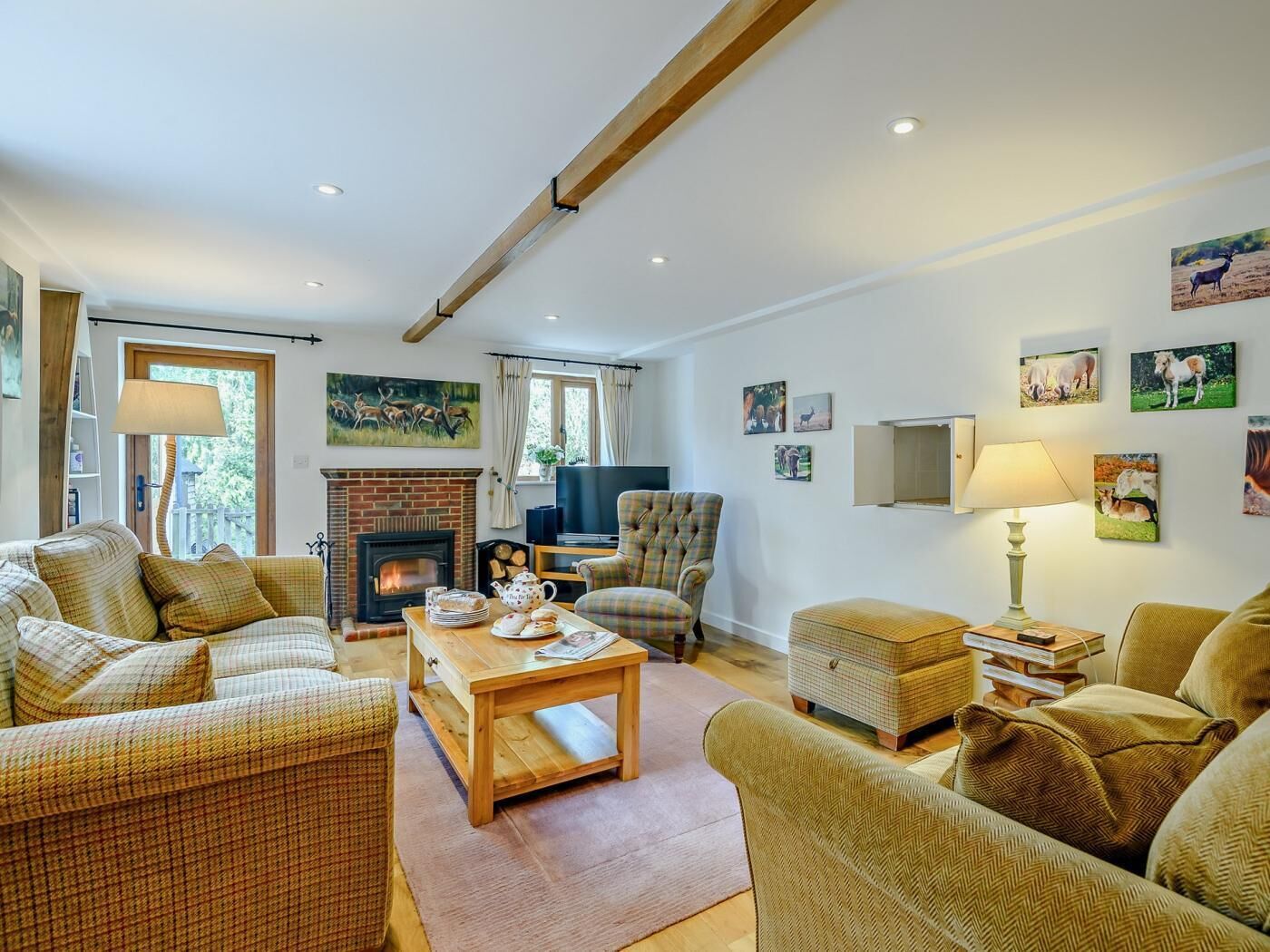 TV, fireplace