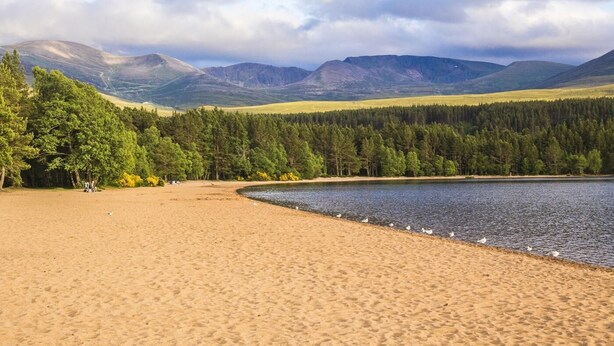 Een strand met een meer, bergen op de achtergrond en een bebost gebied.