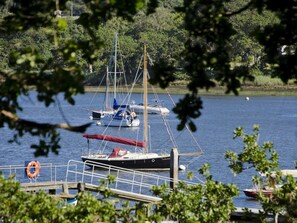 Ein Yachthafen mit mehreren Segelbooten, umgeben von viel Grün.