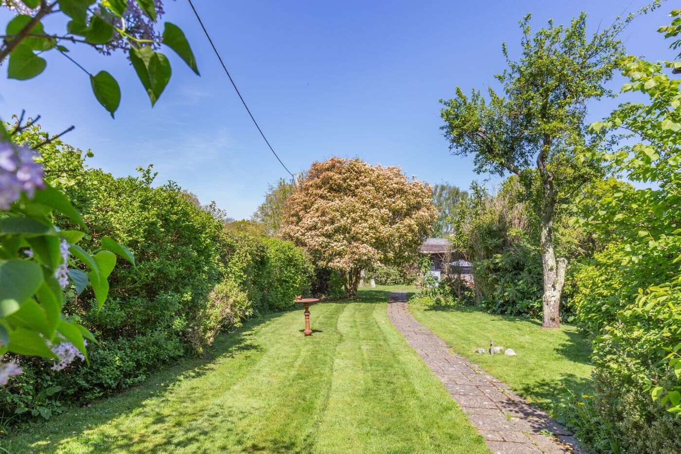 Un jardín bien cuidado con un sendero de piedra, abundante vegetación y un gran árbol.