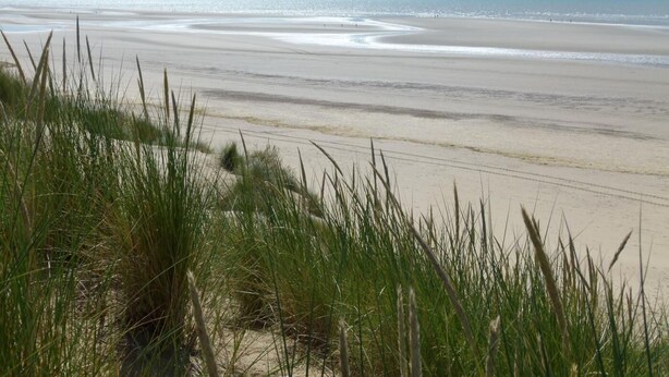 A beach with sand dunes and grass in the foreground, leading to the ocean. - 4 Bed in Rye- (oc-bt104) (Rye)
