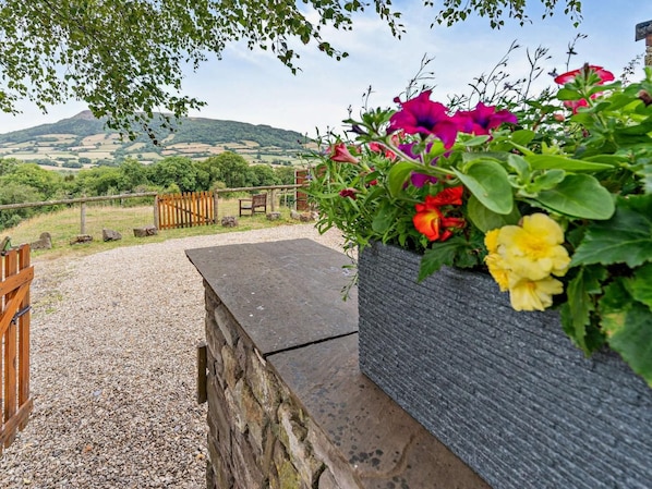 A gravel path leading to a stone wall with a flower planter.