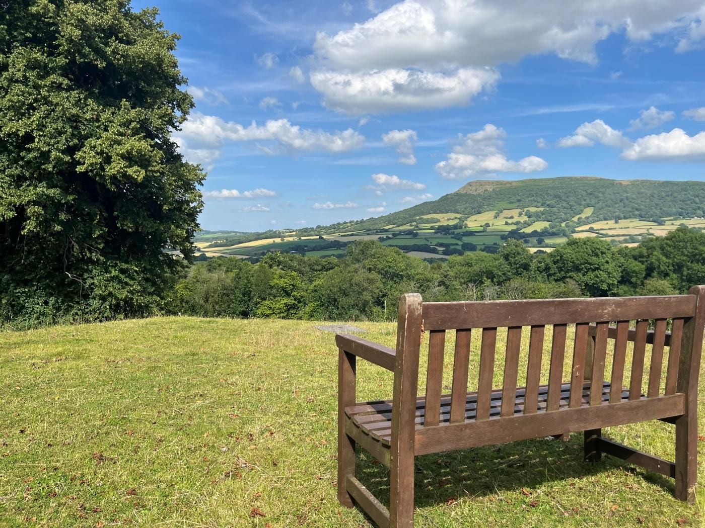 A wooden bench on a grassy hill overlooking a hilly landscape with trees and a clear sky.