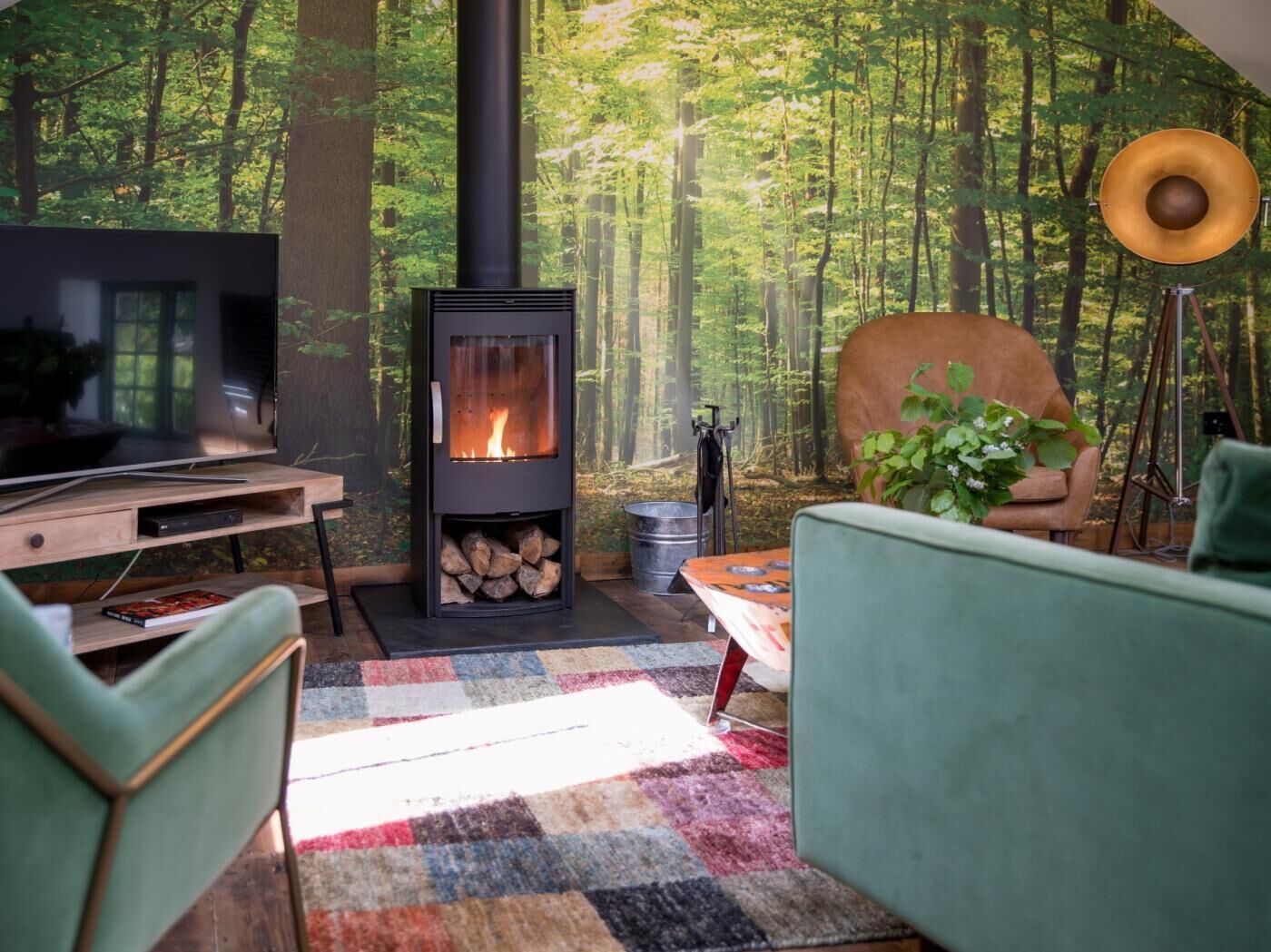 TV, fireplace