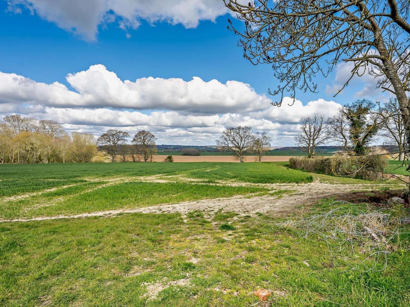 A rural landscape with fields, trees, and a clear sky.