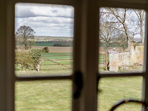 Blick durch ein Fenster auf einen Holzzaun, eine Ziegelwand und einen Baum.