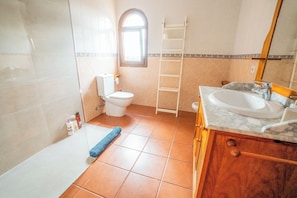 Shower, hair dryer, bidet, towels